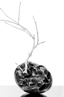 Vanitas, 2021, marmo nero marquinia, foglia d'argento e acciaio inox, cm100x70x70